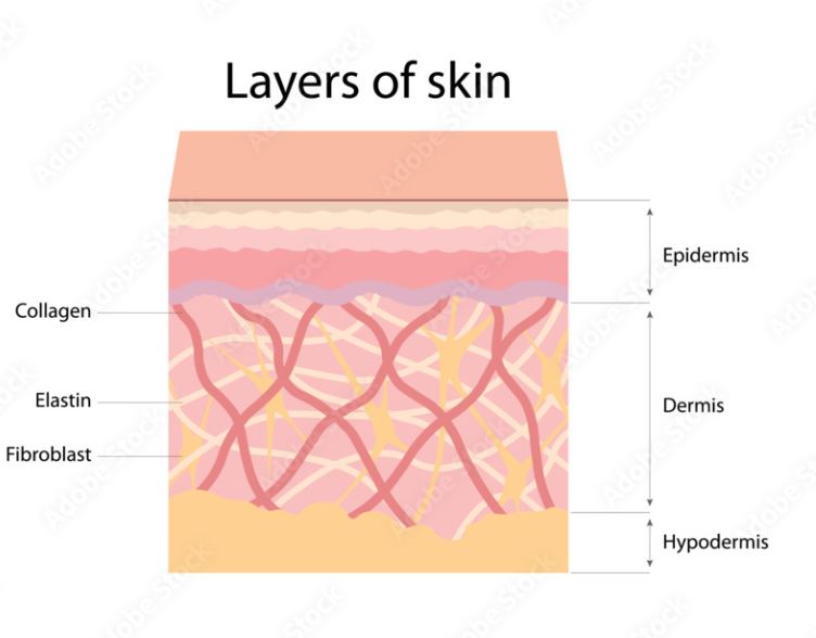 endolifting fibre laser course hydurage FDA aesthetics training courses machines devices lasers online beauty anti aging skin tightening