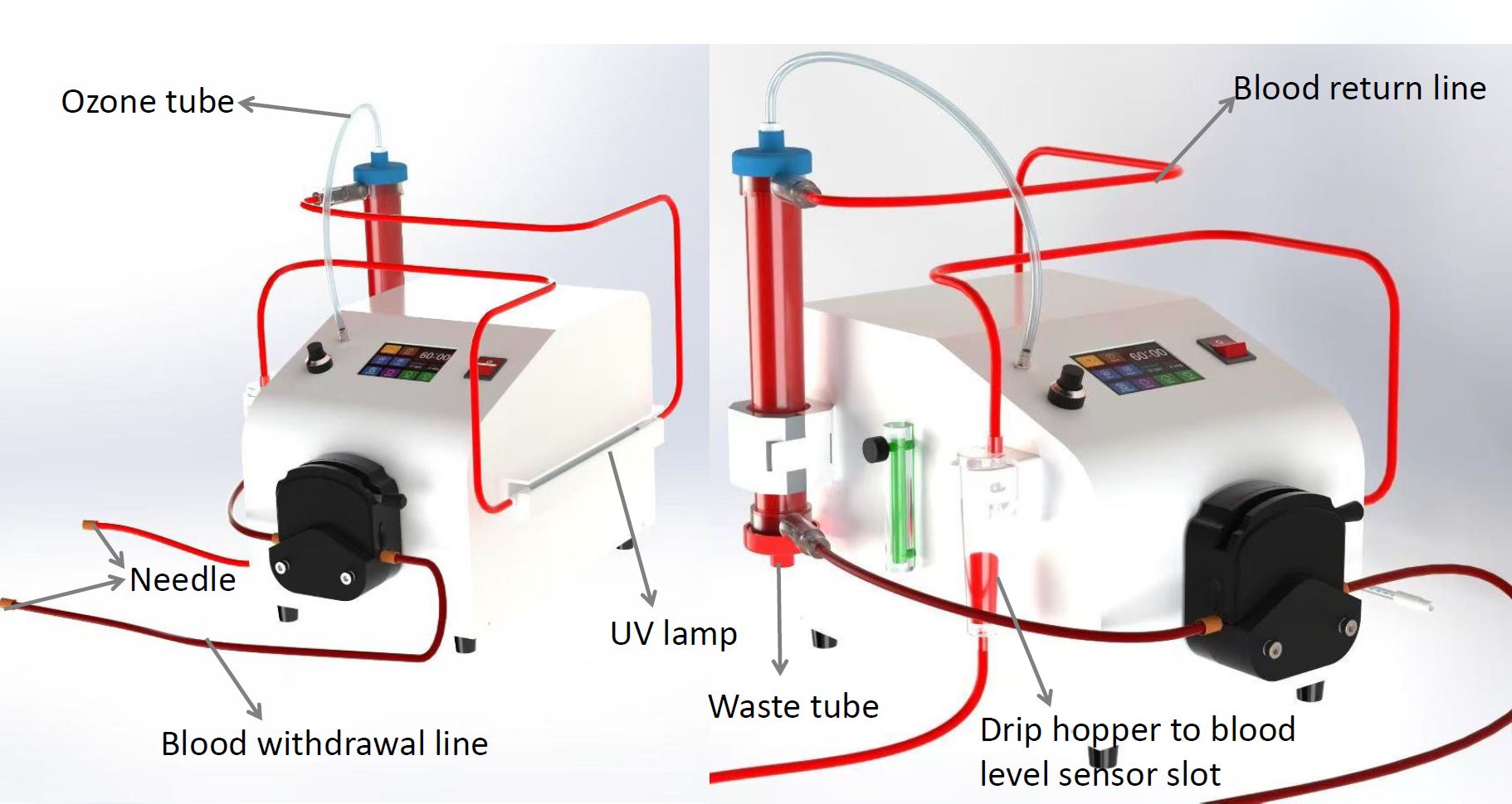 EBOO Procedure Course - Image 4