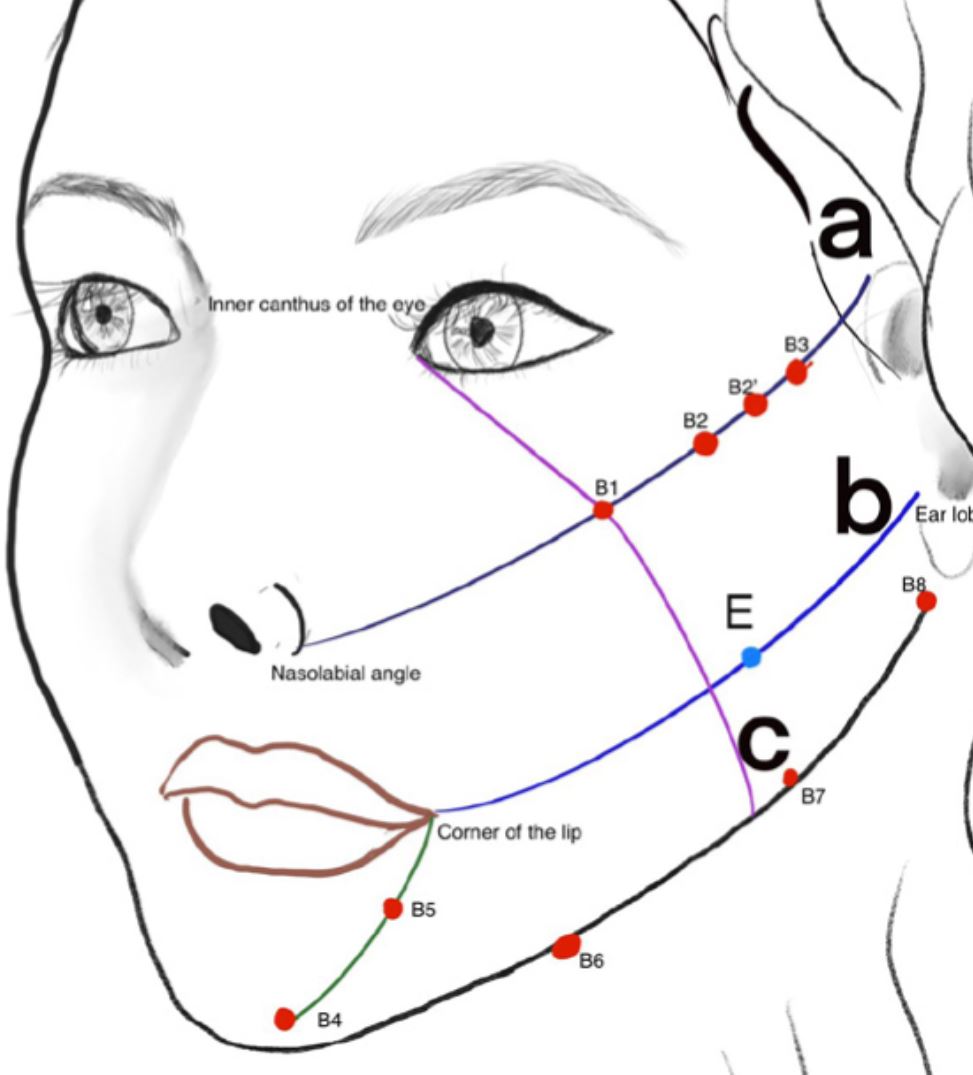 advanced dermal fillers hydurage aesthetics training courses machines devices lasers online beauty anti aging skin tightening